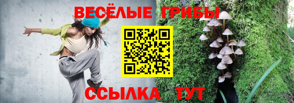 Псилоцибиновые грибы мицелий Медногорск